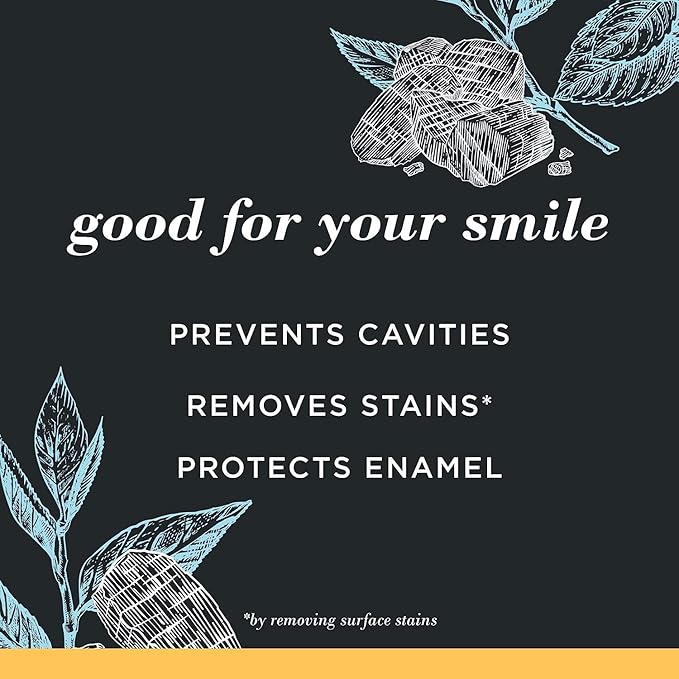 Burt's Bees Toothpaste, Natural Flavor, Charcoal with Fluoride Toothpaste, Mountain Mint, 3 x 4.7oz