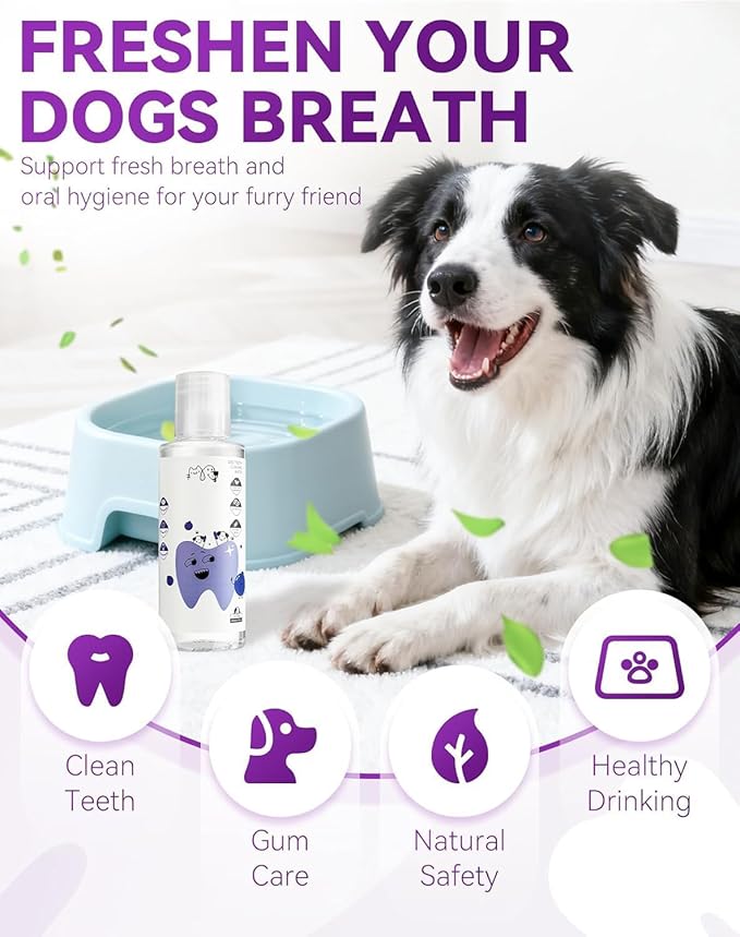 Dental Water Additive, Specialized Dental Care Formula，Natural Flavorless Teeth Cleaning Mouthwash, Freshens Dog Breath & Promotes Healthy Gums, Easy Daily Use for All Pet (200ML)