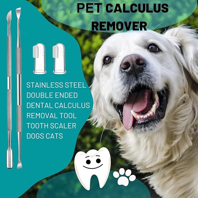 8 Pcs Dog Tartar Remover Pet Teeth Cleaning Tool, Cat Plaque Off Calculus Remover, Dog Tooth Scaler and Scraper, Stainless Steel Dental Forceps for Dogs and Cats Oral Care