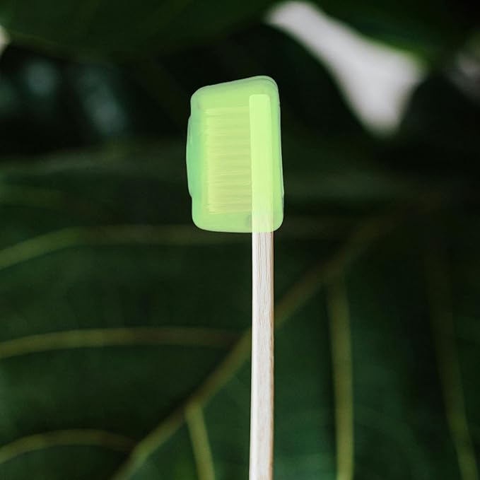 SOIMISS 50pcs Toothbrush Cover: Portable Holder Container - Toothbrush Case - Universal Cap For Protection