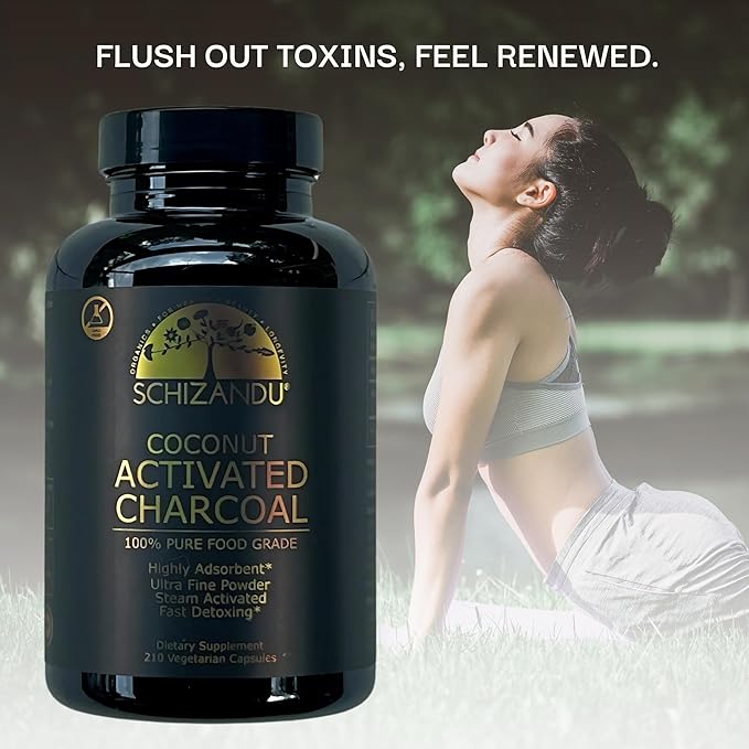 Activated Coconut Charcoal Capsules- Supports Health - Vegan, Organic, Non-GMO, No Additives - X-Large Bottle 210 Count - Pack of 2