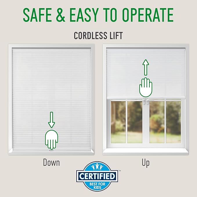 CALYX INTERIORS Cellular Honeycomb Shade, Light Filtering, Cordless, 3/8" Single Cell, 21.5" W x 60" H, White