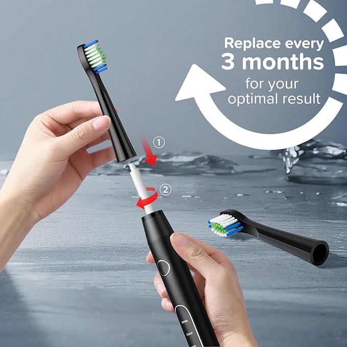 Replacement Toothbrush Heads 10 Pack Compatible with Bitvae Daily D2 Rechargeable Toothbrush, for D2 Toothbrush Heads Refills, Black