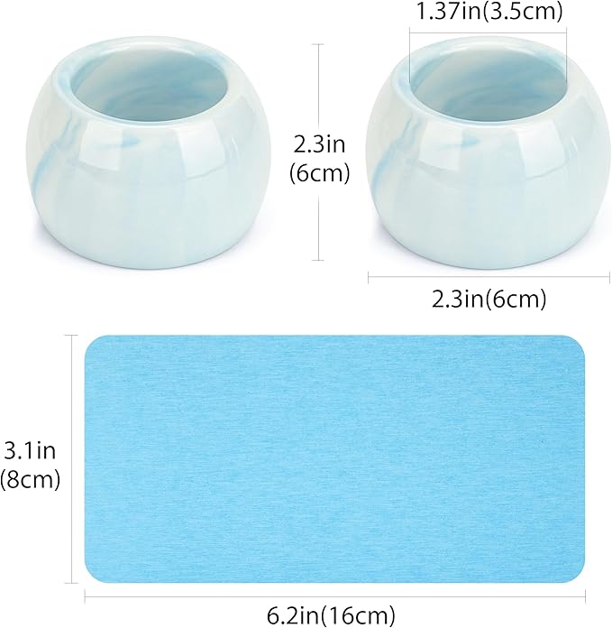 2 Pack Ceramic Toothbrush Holder with Diatomite Toothbrush Tray for Bathroom Shower Countertop Storage Organizer, Small Toothpaste Razor Electric Tooth Brush Head Stand (Blue)