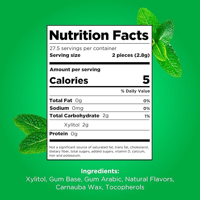 PUR Gum | Aspartame Free Chewing Gum | 100% Xylitol | Natural Spearmint Flavored Gum, 55 Pieces (Pack of 1)