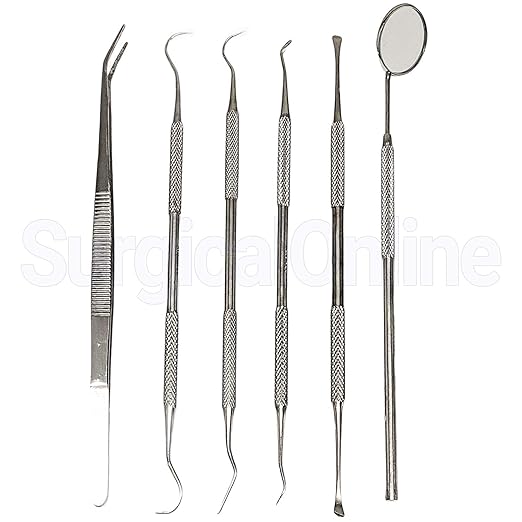 SURGICAL ONLINE Professional Dental Tools Kit, Teeth Cleaning Oral Care Kit, Tooth Pick Dental Mirror, Tartar Scraper, Dental Probe, Dental Scaler, Dental Tweezer 6 pcs with Pouch