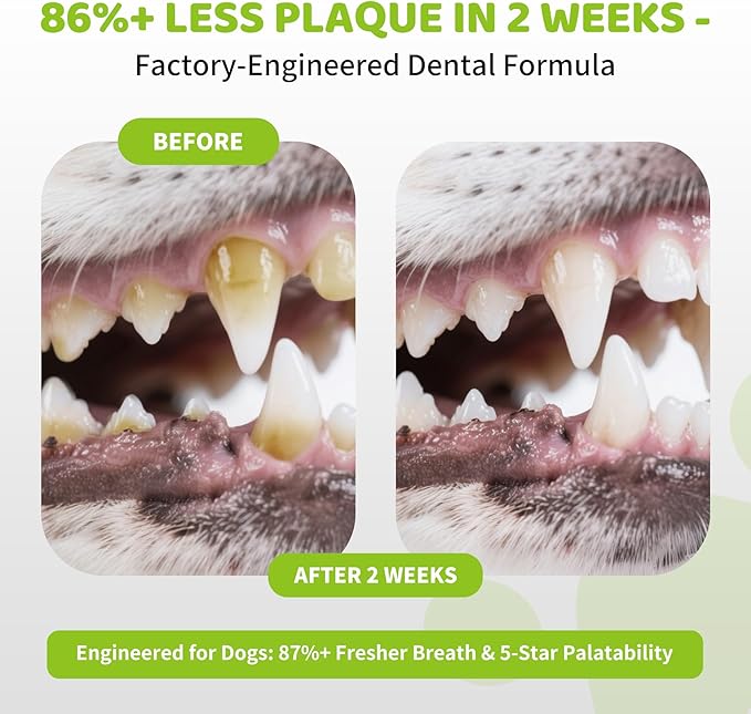 Paws Dental Powder for Dogs 200g - 90 Day Supply, Enzymatic Teeth Cleaning Powder & Breath Freshener, Plaque & Tartar Remover for All Dog Breeds
