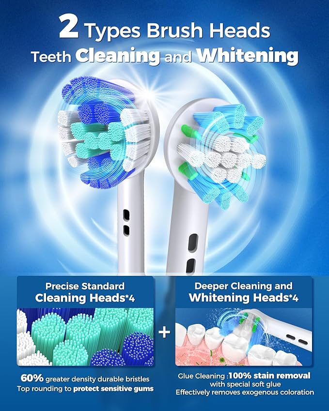 TEETHEORY Rotating Electric Toothbrush for Adults with 8 Brush Heads (2 Types), 4 Modes Deep Clean Electric Toothbrush with Rechargeable Power and 2 Min Smart Timer (6-Purple, p1)