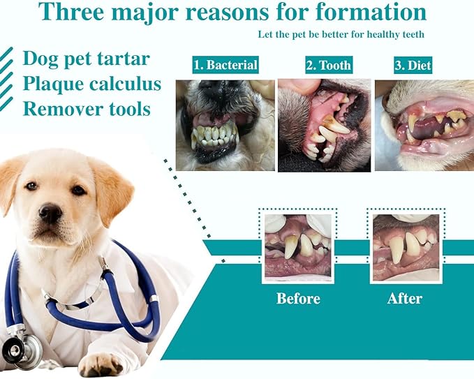 8 Pcs Dog Tartar Remover Pet Teeth Cleaning Tool, Cat Plaque Off Calculus Remover, Dog Tooth Scaler and Scraper, Stainless Steel Dental Forceps for Dogs and Cats Oral Care