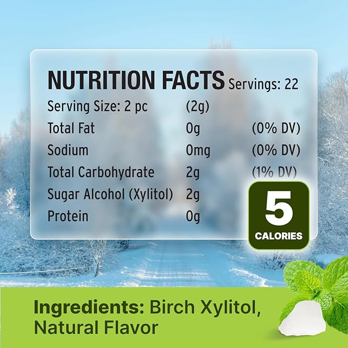 Spearmint KETO Xylitol Candy Chips - SNØ 1LB Bag - Sugar-Free Candy With Only 2 Ingredients | Low Carbs, Diabetic-Friendly, Non-GMO, Vegan, GF & Kosher | Purest candy in the world!