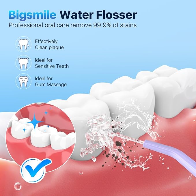 Bigsmile Water Dental Flosser, Rechargeable Oral Doucher, IPX7 Waterproof, Professional Teeth Cleaning, Effectively Keep Mouth Clean and Healthy (Purple)