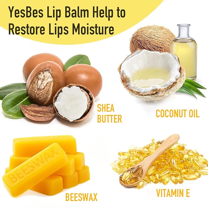 Lip Balm, 8 Pack Natural Bulk with Vitamin E & Coconut Oil, Moisturizing Dry Cracked Lips Protection, 8 Flavors - Stocking Stuffers