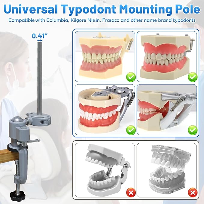 ‌Dental Typodont Stand, Adjustable 360° Rotating Mounting Pole Teeth Model Training Stand Fixed on Desk for Simulation Practice and Educational Practice (Typodont Model is NOT Included)