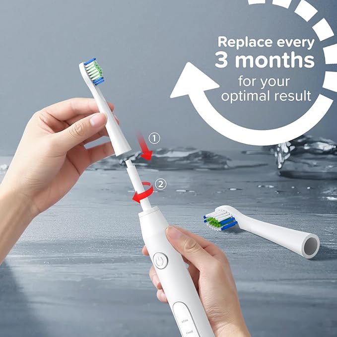 Replacement Toothbrush Heads 10 Pack Compatible with Bitvae Daily D2 Rechargeable Toothbrush, for D2 Toothbrush Heads Refills, White