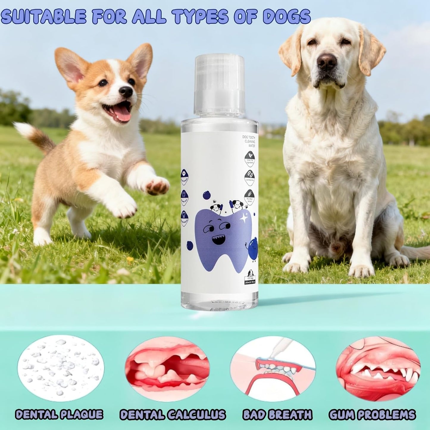 2Pcs Dental Plus,Freshen Breath, Natural, Odorless & Flavorless Formula to Fight Tartar, for All Pet