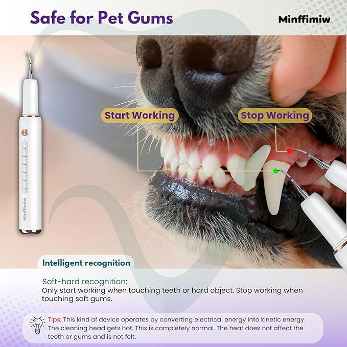 Dog Plaque and Tartar Remover - Electric Plaque Remover for Teeth with 5 Modes, LED Light, Safe Tooth Cleaner Dog Teeth Cleaning Kit Dental Care Tool for Pets