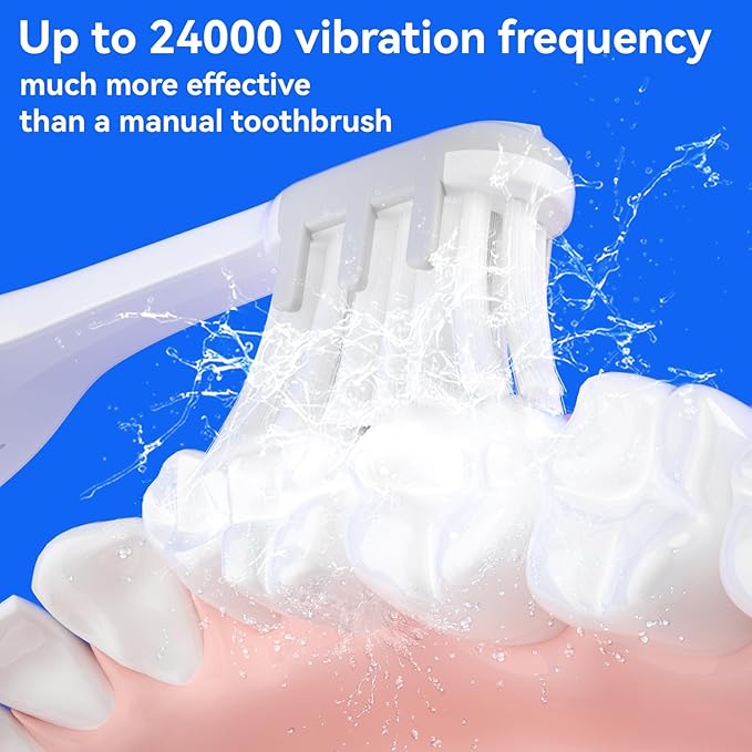 SEAGO Electric Toothbrush for Adults - 3 in 1 Holder with 8 pcs Replaceable Brush Battery Operated Travel Toothbrush kit Portable and 2 Minute Timer (Silver, Middle)
