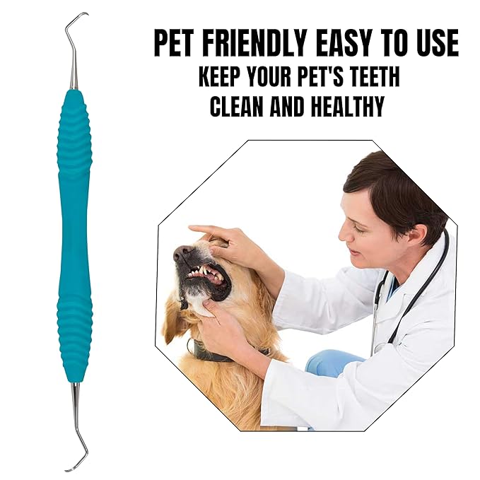 Professional Dental Tools Tartar Scraper for Dentist, Personal and Pets Use Plaque Remover with Comfortable Grip, Double Ended Silicon Grip Scaler 204S (Aqua)