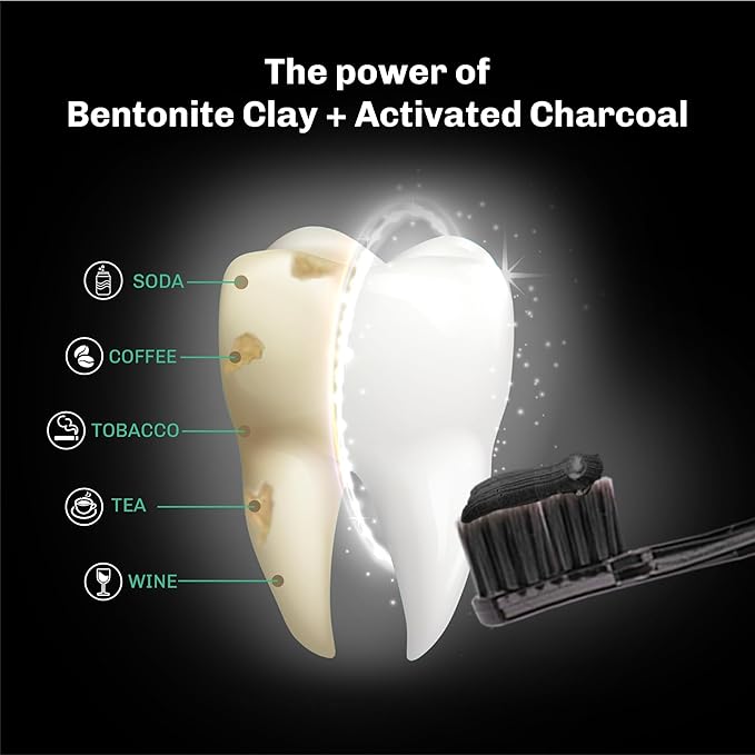 BENTODENT Teeth Whitening Bentonite Clay & Charcoal Toothpaste - Natural Teeth Whitening Charcoal toothpaste, No SLS & Fluoride free Charcoal toothpaste, Vegan (Activated Charcoal Mint Combo)