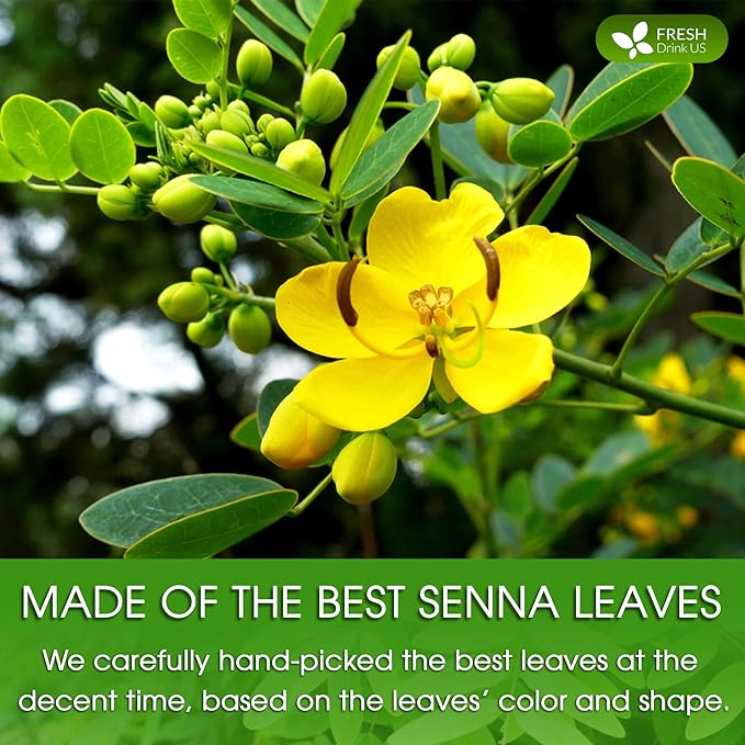 FreshDrinkUS, Premium 16oz Senna Leaf Powder, 100% Natural and Pure from Senna Leaves, No Additives, No Gluten, No Sugar, Vegan