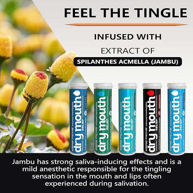 Xero Picks Infused Tooth Picks for Long-Lasting Fresh Breath & Dry Mouth Prevention - 20 Picks (Variety Mints, 5 Pack)-Spearmint, Cool Mint, Wintergreen, Peppermint, Spicy Mint