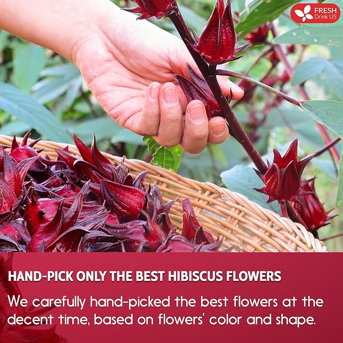 FreshDrinkUS, Premium 10 Hibiscus Flowers Tea Bags, 100% Natural, Pure from Hibiscus Flowers. Loose Flower Herbal Tea. No Sugar, No Caffeine, No Gluten, Vegan.