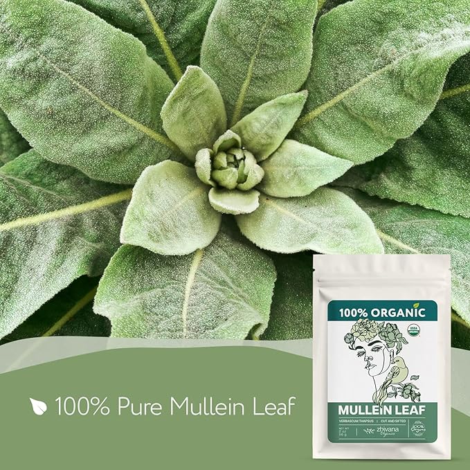 Organic Mullein Tea Loose Leaf (2oz.) – Mullein Leaf Tea Loose - Mullien Herb – Mullen Leaves - Mullin - Natural Alternative for Lungs & Respiratory Health