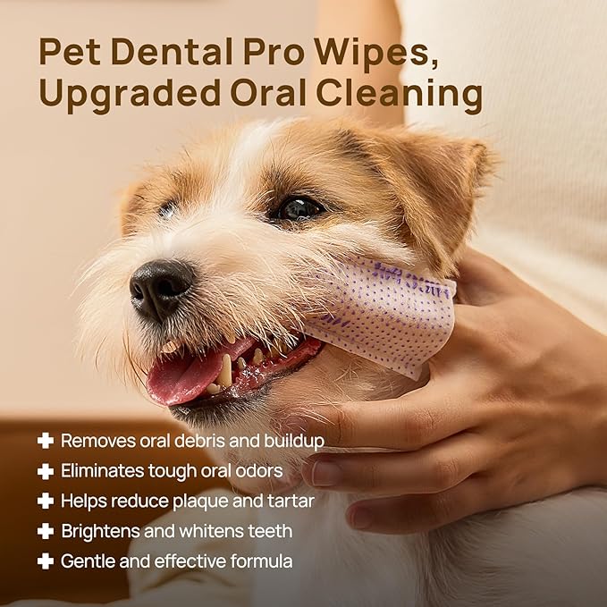 HICC PET Pro Dog Teeth Cleaning Wipes, Vet-Recommended Dental Care Wipes for Plaque & Fresh Breath, No-Rinse Dog Tooth Brushing Kit, Fresh Breath Oral Care, 50 Count, Unscented