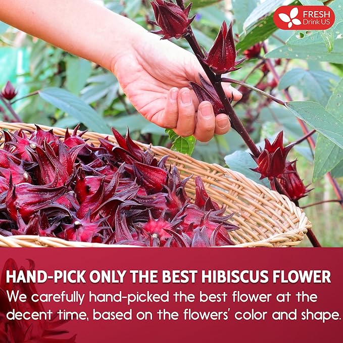 FreshDrinkUS Premium 100% Natural Hibiscus Flower Powder, 40oz - No Additives, Gluten, Sugar - Vegan