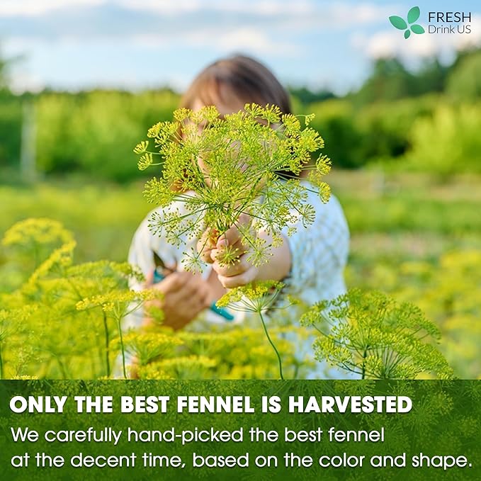 FreshDrinkUS, Premium 55 Fennel Tea Bags, 100% Natural & Pure from Fennel Seeds. Made with Natural Material Tea Bags. No Sugar, No Caffeine, No Gluten, Vegan.