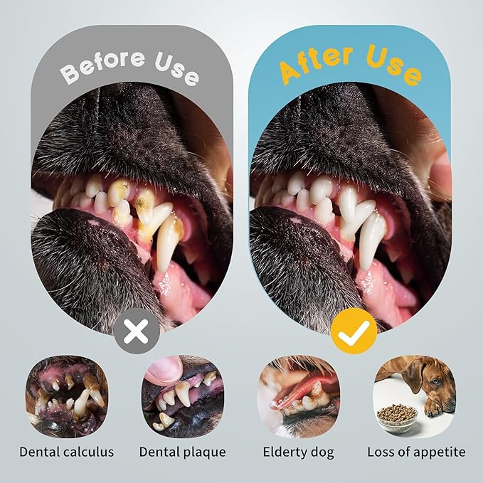 Dog Tooth Brushing Kit, 3-in-1 Dog Electric Toothbrush with Water Flosser, Dog Teeth Cleaning Tools with 3 Modes, Deep Cleaning Kit for Dogs and Cats, IPX7, 1100mAh Battery, Black