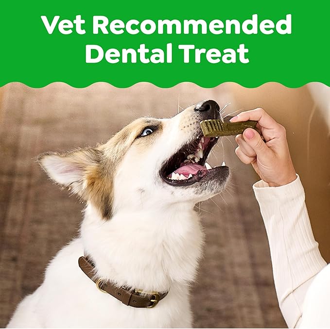 Greenies Veterinarian-Recommended Adult Natural Dental Dog Treats Regular Size, Original Flavor, 6 oz. Pack, 6 Count