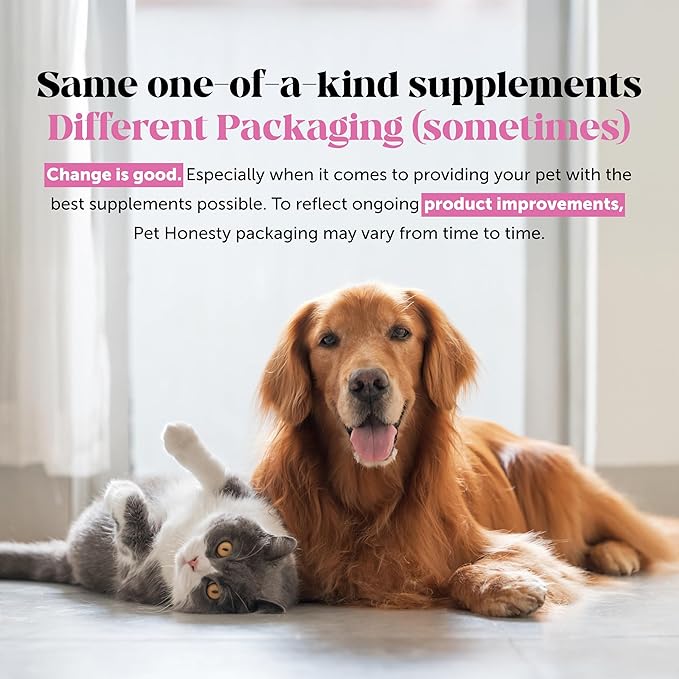 Dental Health Fresh Sticks – Dog Dental Treats & Chews for Oral Care – Dental Sticks for Dogs to Freshen Breath, Remove Tartar & Plaque, Support Gum Health & Bright Teeth Dog Oral Supplement – 16 Ct