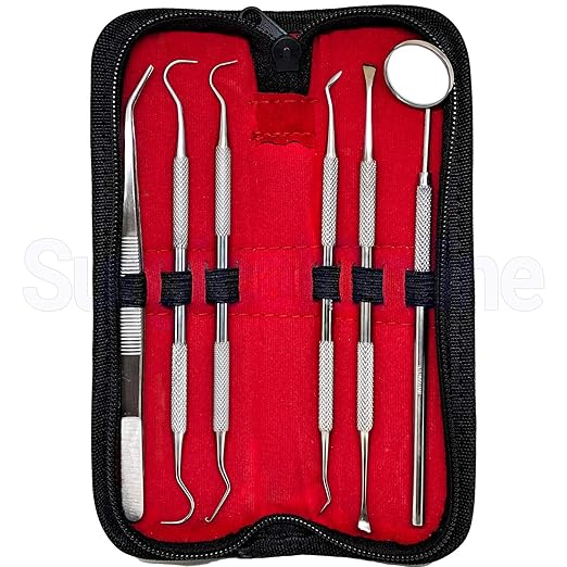 SURGICAL ONLINE Professional Dental Tools Kit, Teeth Cleaning Oral Care Kit, Tooth Pick Dental Mirror, Tartar Scraper, Dental Probe, Dental Scaler, Dental Tweezer 6 pcs with Pouch