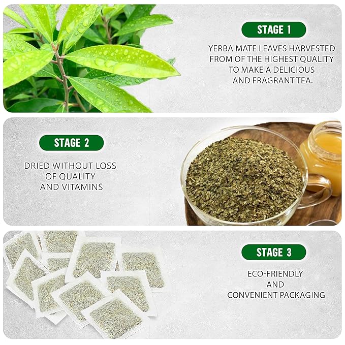 Yerba Mate Tea - Green Cut & Sifted - Unsmoked Energy Boost - 50 Tea Bags - Packed with Nutrients - Your Perfect Coffee Replacement