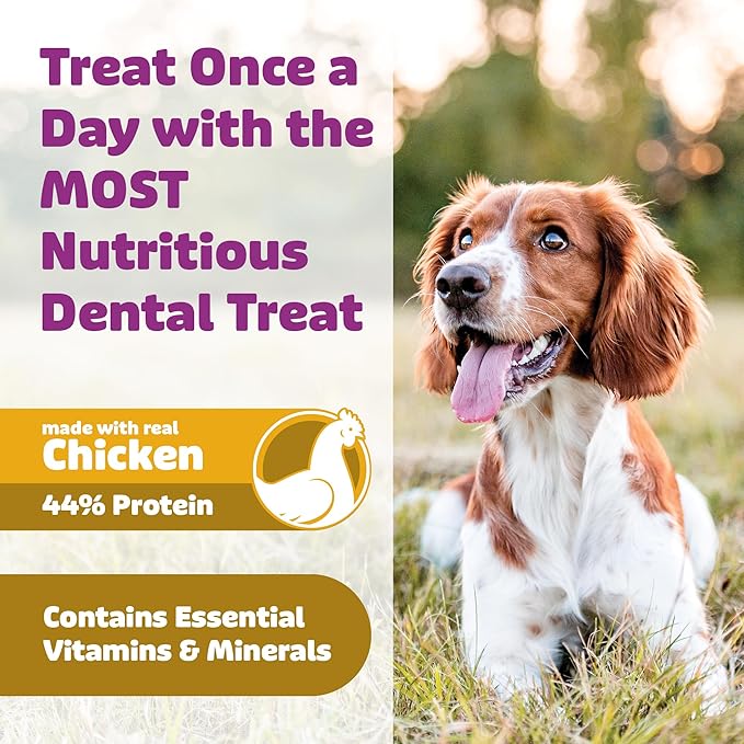 Yummy Combs Dog Dental Treats – Vet VOHC Approved – Delicious Chicken Protein – Removes Tartar with Cleaning Comb Shape – Dental Dog Treats for Large Dogs (24oz, 18 Count)