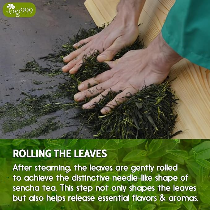 TOG999, Premium 120 Sencha Green Tea Bags, 100% Natural & Pure from Sencha Green Tea Leaves. Loose Leaf Sencha Herbal Tea. No Sugar, No Gluten, Vegan.