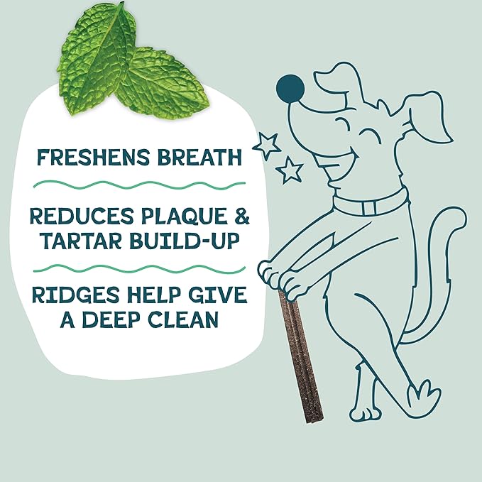 Shameless Pets Triple Mint Dental Chews for Dogs, 8 Chews - Natural Dog Teeth Cleaning Treats with Fresh Breath Benefits | Grain-Free Dental Sticks for Small, Medium & Large Dogs