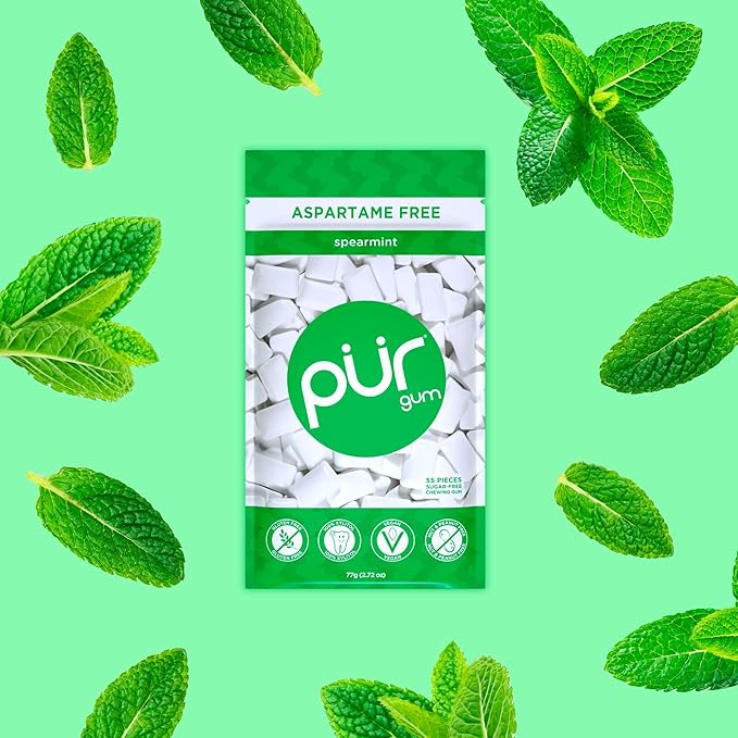 PUR Gum | Aspartame Free Chewing Gum | 100% Xylitol | Natural Spearmint Flavored Gum, 55 Pieces (Pack of 6)