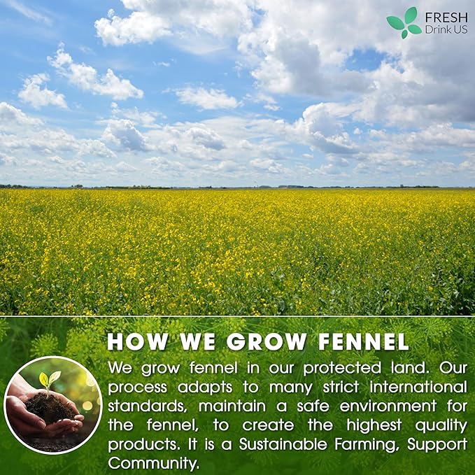FreshDrinkUS, Premium 55 Fennel Tea Bags, 100% Natural & Pure from Fennel Seeds. Made with Natural Material Tea Bags. No Sugar, No Caffeine, No Gluten, Vegan.