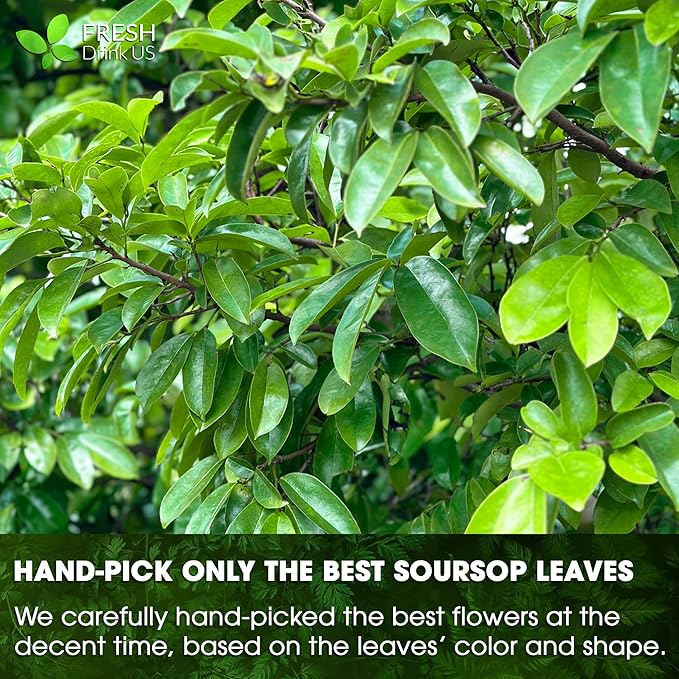 FreshDrinkUS, Premium 10oz Soursop Leaf Powder, 100% Natural and Pure from Soursop Graviola Leaves, Hoja Guanabana, No Additives, No Gluten, No Sugar, Vegan