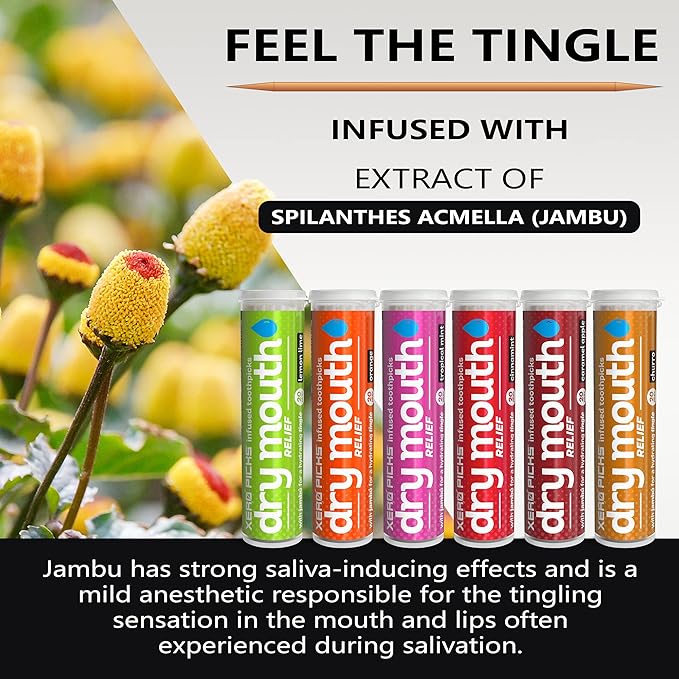 Xero Picks Dry Mouth - Infused Flavored Toothpicks for Long Lasting Fresh Breath & Dry Mouth Prevention (Variety 6 Pack)