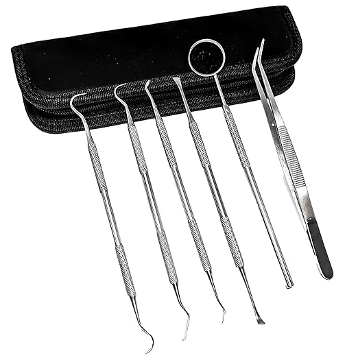 SURGICAL ONLINE Professional Dental Tools Kit, Teeth Cleaning Oral Care Kit, Tooth Pick Dental Mirror, Tartar Scraper, Dental Probe, Dental Scaler, Dental Tweezer 6 pcs with Pouch