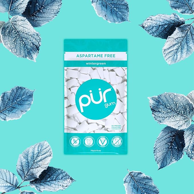PUR Gum | Aspartame Free Chewing Gum | 100% Xylitol | Natural Wintergreen Flavored Gum, 55 Pieces (Pack of 6)