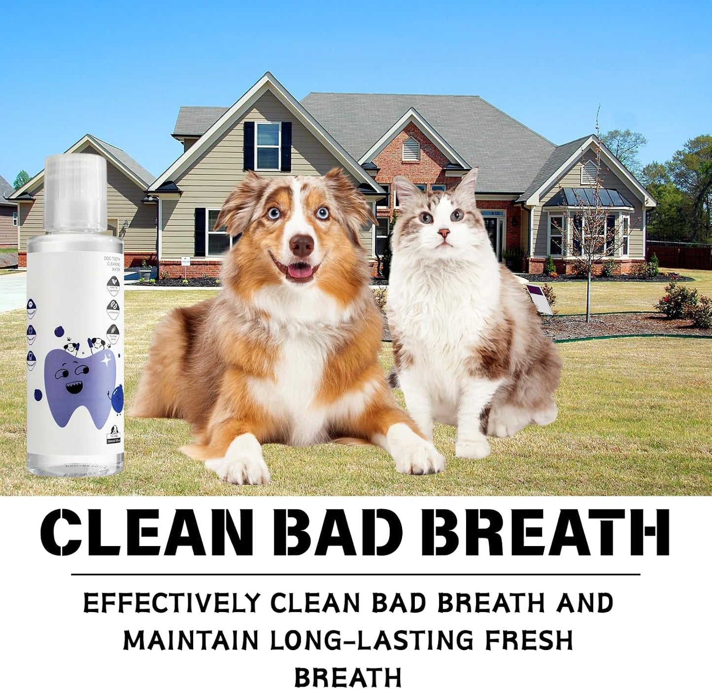 2Pcs Dental Plus,Freshen Breath, Natural, Odorless & Flavorless Formula to Fight Tartar, for All Pet