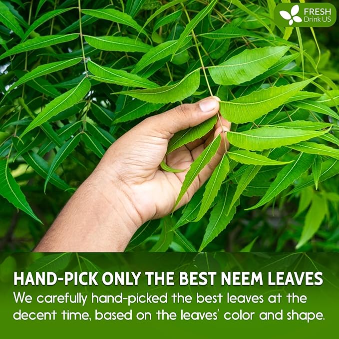 FreshDrinkUS, Premium 10oz Neem Leaf Powder, 100% Natural and Pure from Neem Leaves Dried, for Hair and Skin, No Additives, No Gluten, No Sugar, Vegan