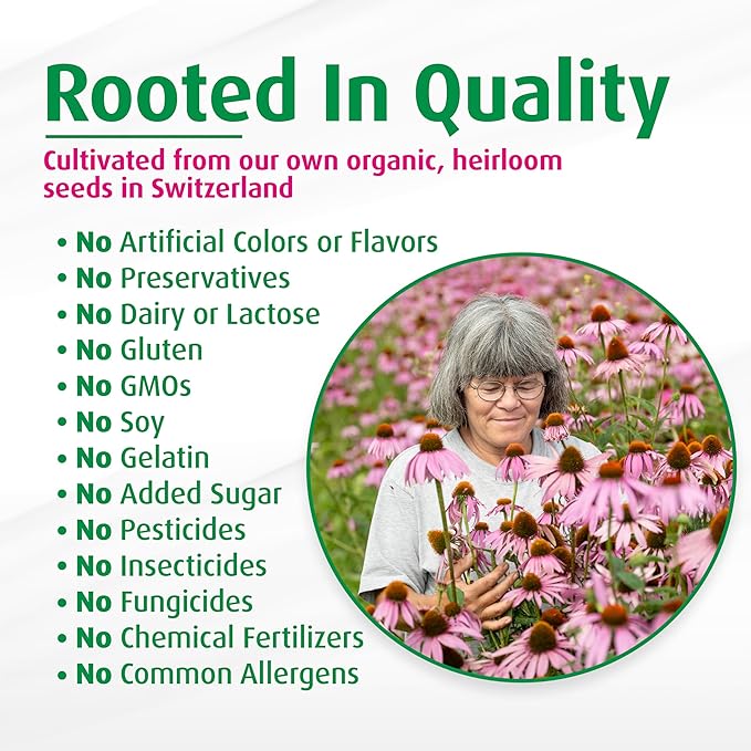 A. Vogel Echinaforce Natural Soothing Throat Spray - Fresh Organic Echinacea Plant & Sage - Targeted Nozzle - Immune Support Supplement - Throat Health - Soy, Dairy, & Gluten Free - Non-GMO - 1 fl oz