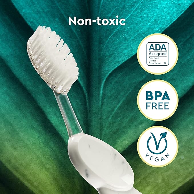 RADIUS Big Brush with Replaceable Head BPA Free & ADA Accepted Toothbrush Designed to Improve Gum Health & Reduce Gum Issues - Right Hand - Assorted - Pack of 6