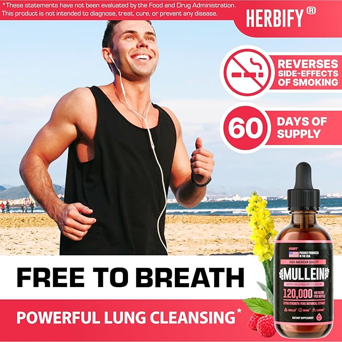 HERBIFY Mullein Drops - Lung Cleanse - Leaf Extract - Powerful Mullein for Immune Support, Detox & Respiratory Support - Made in USA - 4 Oz Raspberry Flavor