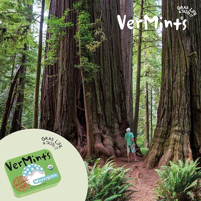 VerMints Organic Breath Mints Wintergreen - Real Long-Lasting Refreshment, Travel Size Tin - Non-GMO, Vegan, Nut Free, Gluten Free & Kosher Organic Candy Mints- 1.41oz Tins (Pack of 6)